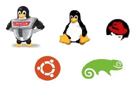 Linux Consulting - Linux Logos - Expertise in Red Hat, Suse, Ubuntu, and Oracle Linux